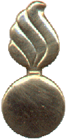 pin4.gif (11984 bytes)
